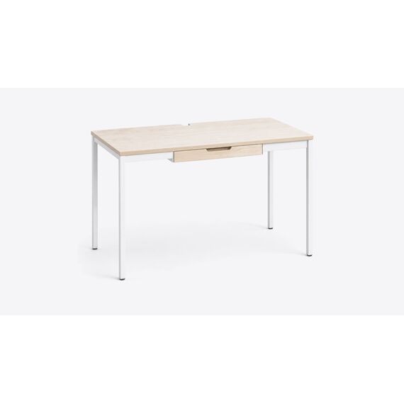 Roshni Quiet-Study Desk — design preview