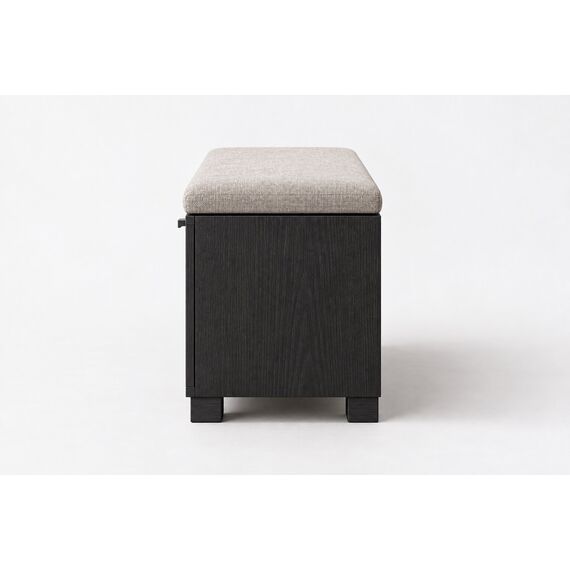Mirae Smart Shoe Storage Bench — design preview