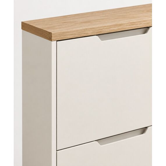 Veya Smart Slim Shoe Cabinet — design preview