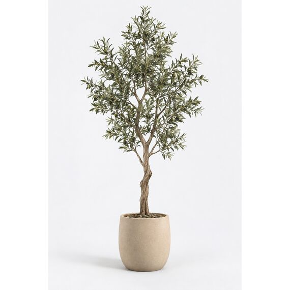 Sora Artificial Olive Tree — design preview