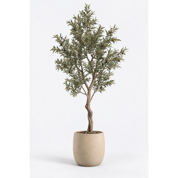 Sora Artificial Olive Tree — design preview