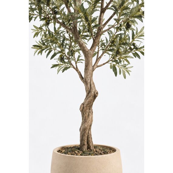 Sora Artificial Olive Tree — design preview