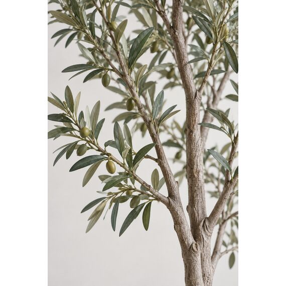 Iris Artificial Olive Tree — design preview