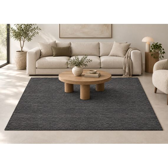 Aara Area Rug — design preview