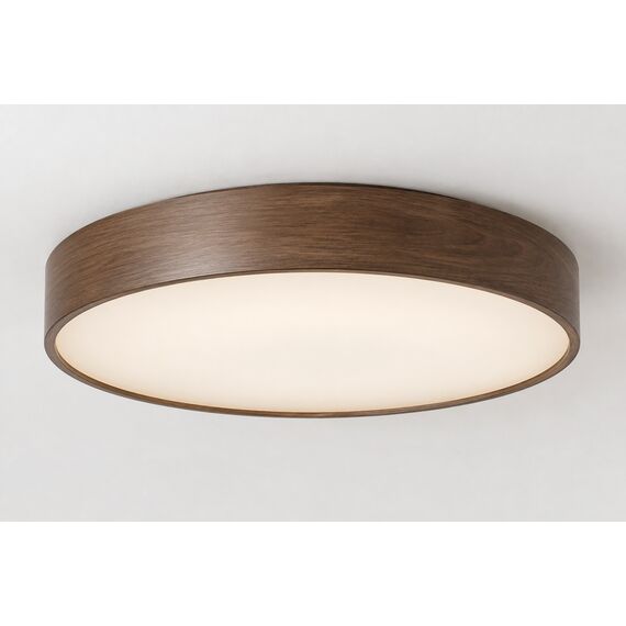 Nova Ceiling Light — design preview