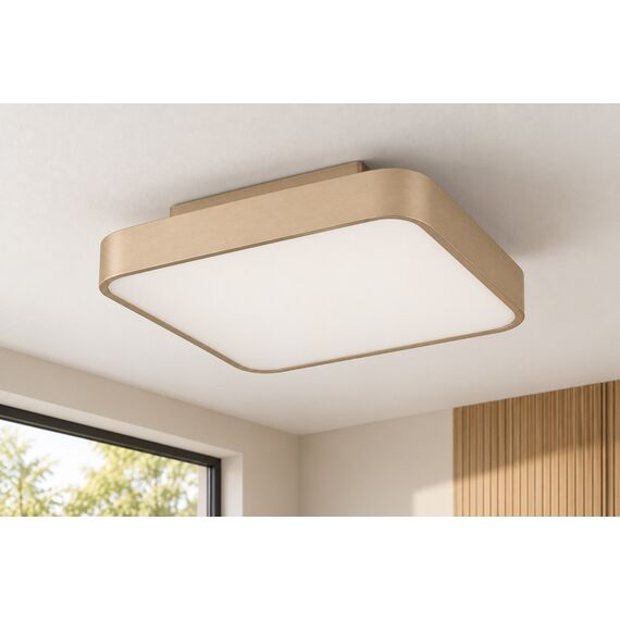 Kora Ceiling Light — design preview