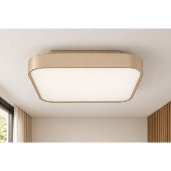 Kora Ceiling Light — design preview
