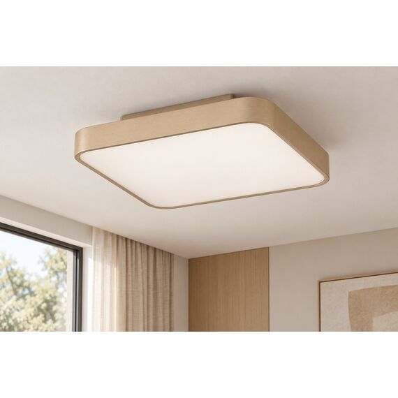 Kora Ceiling Light — design preview