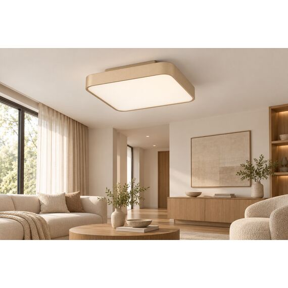 Kora Ceiling Light — design preview