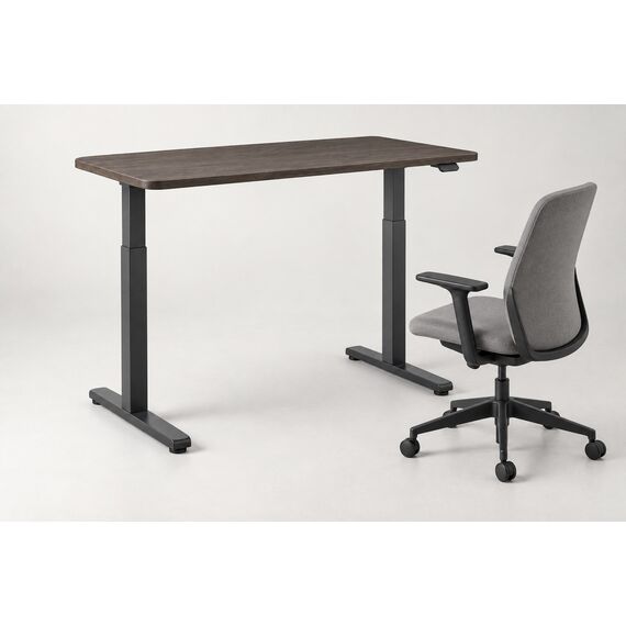 Aara Sit-Stand Desk — design preview