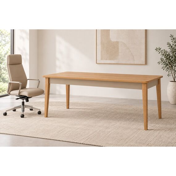 Lina Executive Desk — design preview