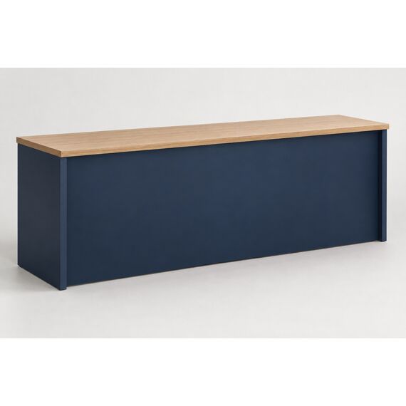 Aster Reception Desk — design preview