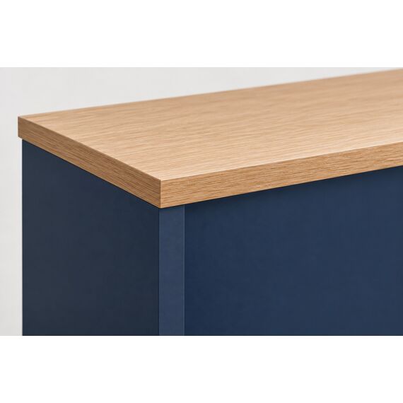 Aster Reception Desk — design preview