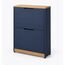 Alya Smart Slim Shoe Cabinet — design preview
