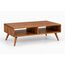 Aara Mid-Century Coffee Table — design preview