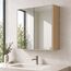 Mira Bathroom Mirror Cabinet — design preview