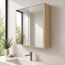 Mira Bathroom Mirror Cabinet — design preview