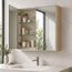 Mira Bathroom Mirror Cabinet — design preview