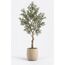 Sora Artificial Olive Tree — design preview