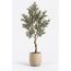 Sora Artificial Olive Tree — design preview