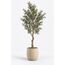 Sora Artificial Olive Tree — design preview