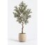 Sora Artificial Olive Tree — design preview