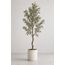 Iris Artificial Olive Tree — design preview