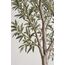 Iris Artificial Olive Tree — design preview