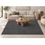 Aara Area Rug — design preview