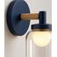 Aster Wall Sconce — design preview