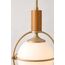 Veya Pendant Light — design preview