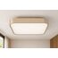 Kora Ceiling Light — design preview