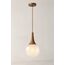 Vira Pendant Light — design preview
