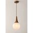 Vira Pendant Light — design preview