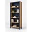 Amani Bookcase — design preview