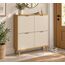 Zeno Shoe Cabinet — design preview