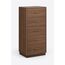Safiya Tallboy Chest — design preview