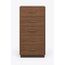 Safiya Tallboy Chest — design preview