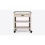 Mitti Two-Tone Kitchen Cart — design preview