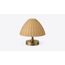 Roshni Woven-Dome Table Lamp — design preview