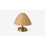 Roshni Woven-Dome Table Lamp — design preview