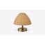 Roshni Woven-Dome Table Lamp — design preview