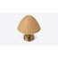 Roshni Woven-Dome Table Lamp — design preview
